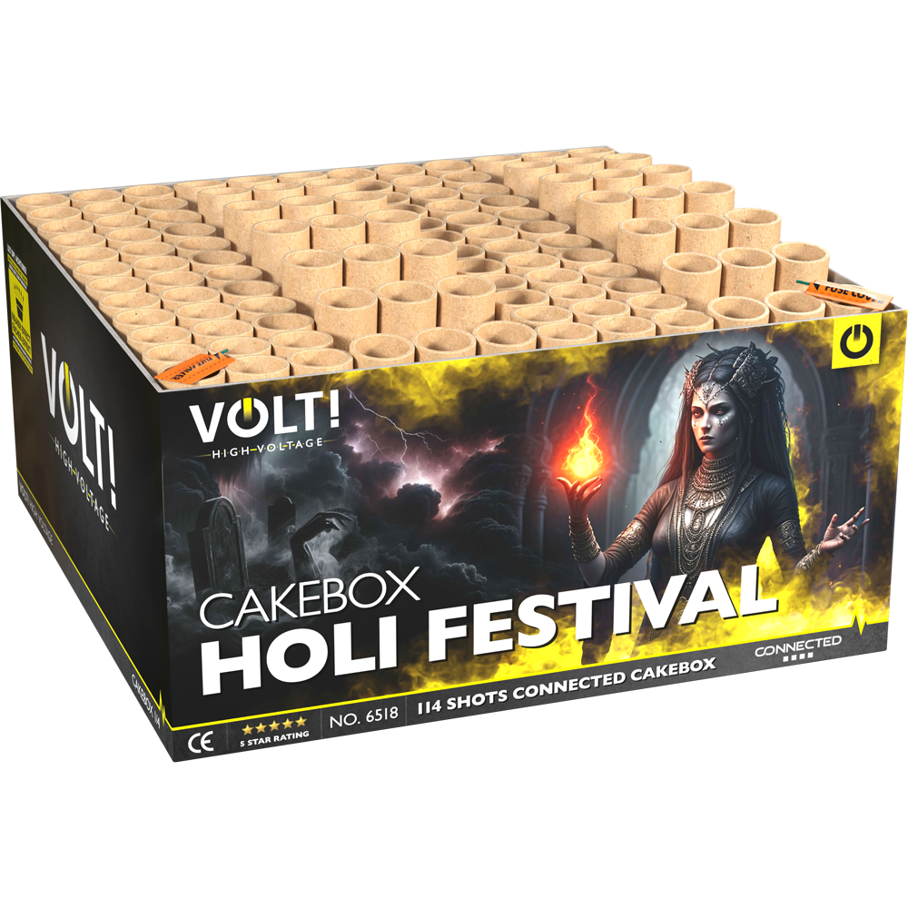Holi Festival