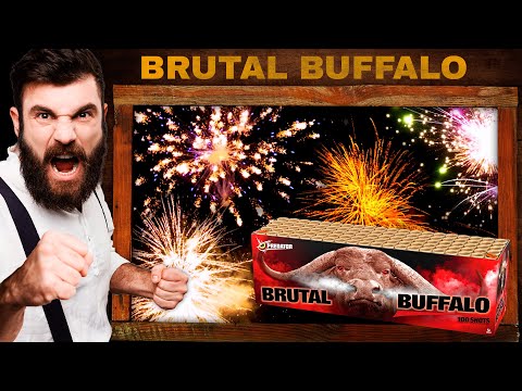 Bruta Buffalo